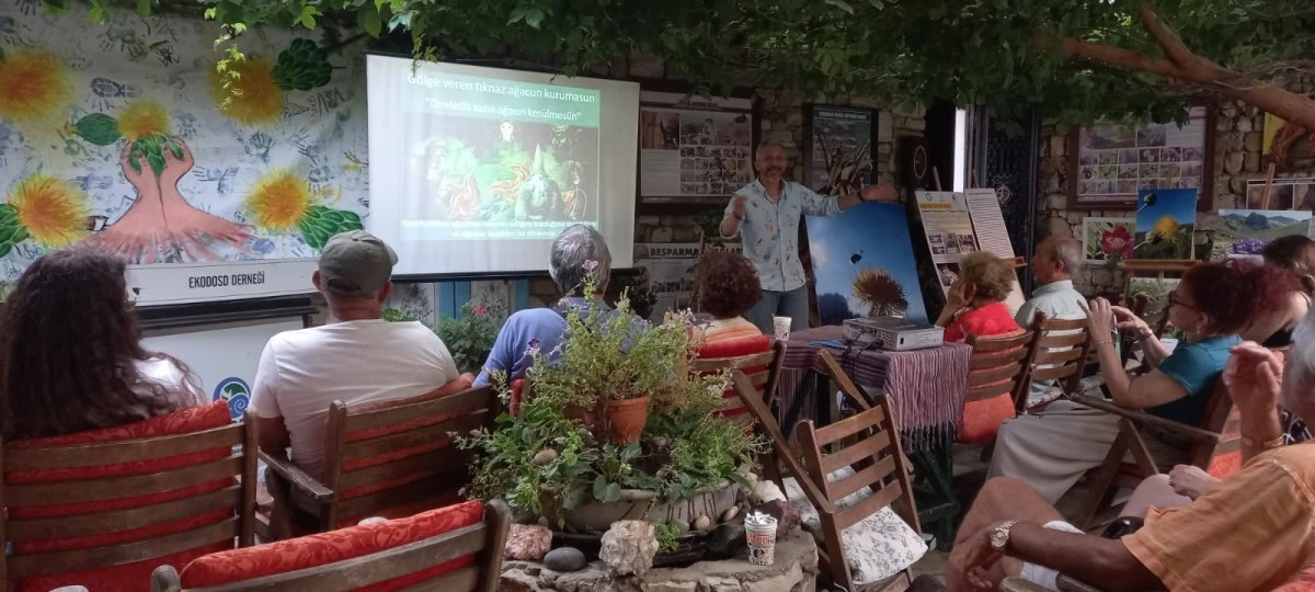 Sadece özel izinle dokunulabilen Tülüşah’ın hikayesi resimlerle anlatıldı
