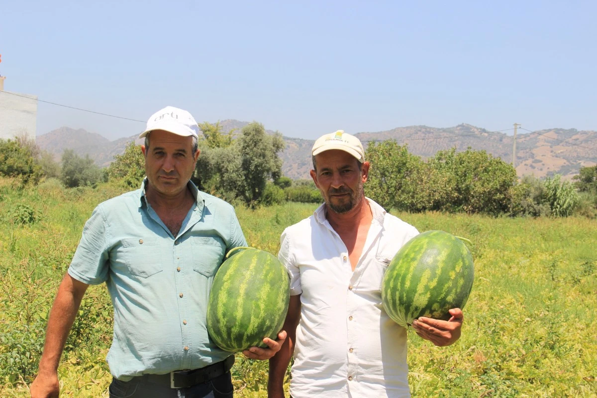 İşçilerin 40 derecede ekmek mücadelesi