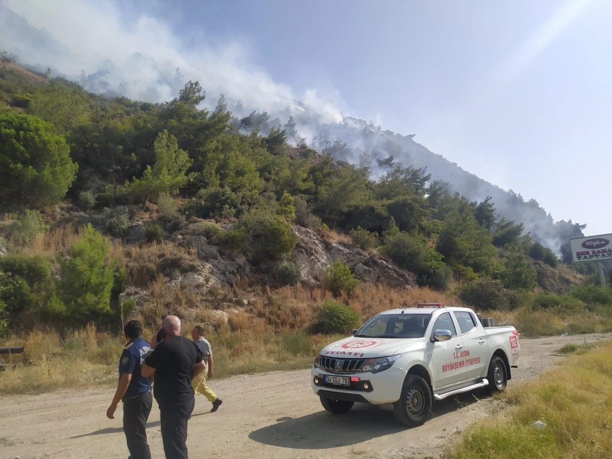 Söke'deki yangında itfaiye ekipleri alevlerle mücadele etti