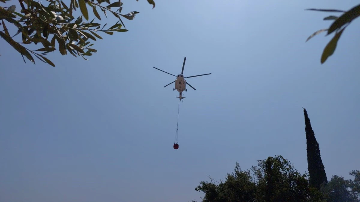 Söke’deki yangın kısmen kontrol altına alındı