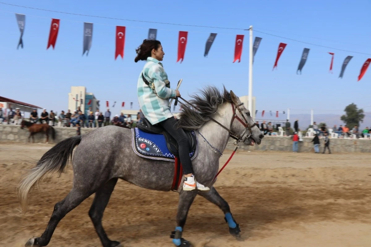 Nazilli’de rahvan atlar birincilik için yarıştı