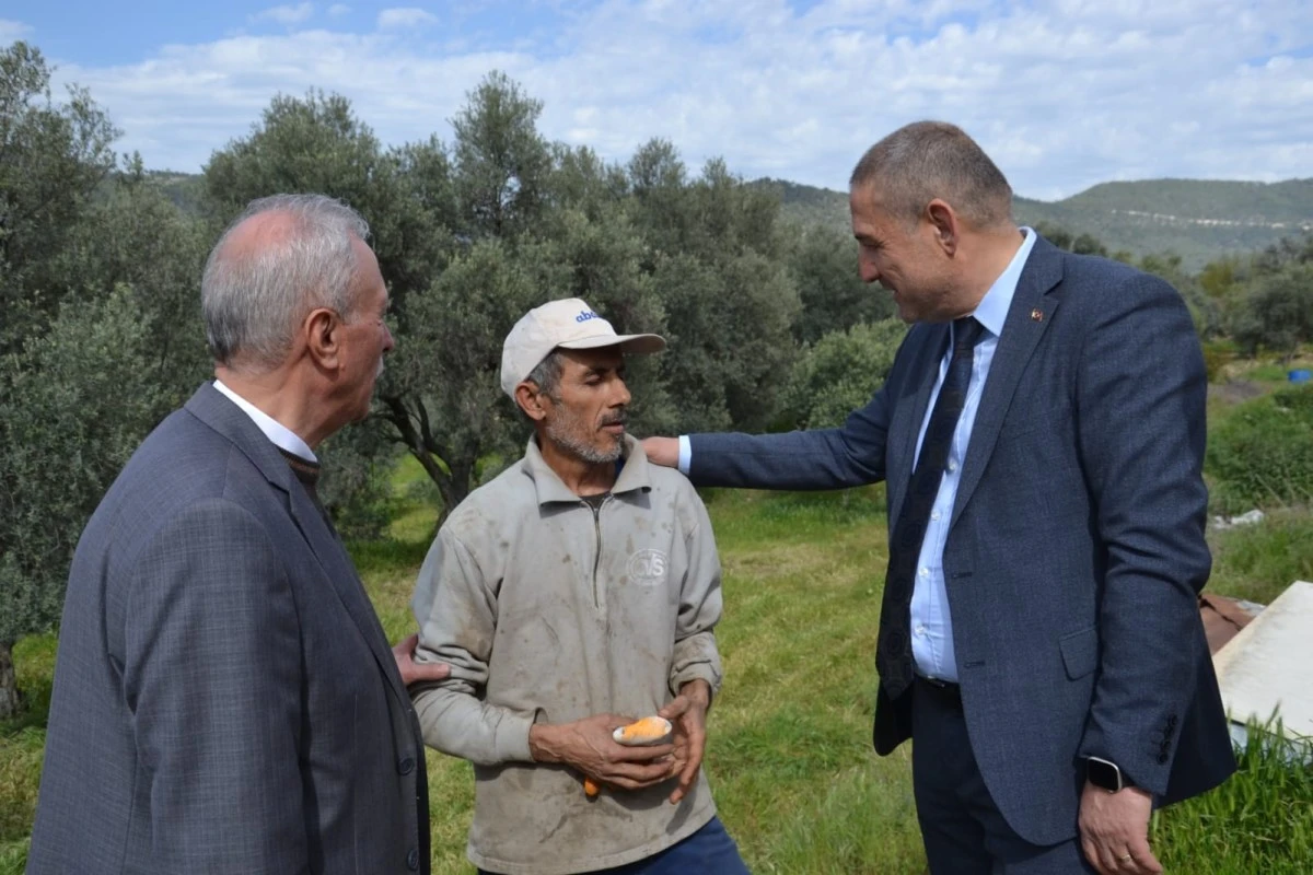 ABAK, ARI GİBİ ÇALIŞIYOR