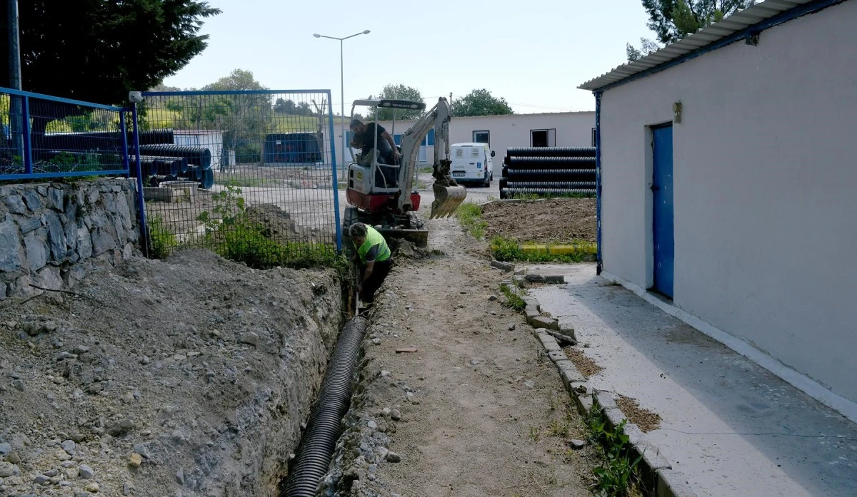 Kuşadası'ndaki Evcil Hayvan Rehabilitasyon Merkezi yenilendi