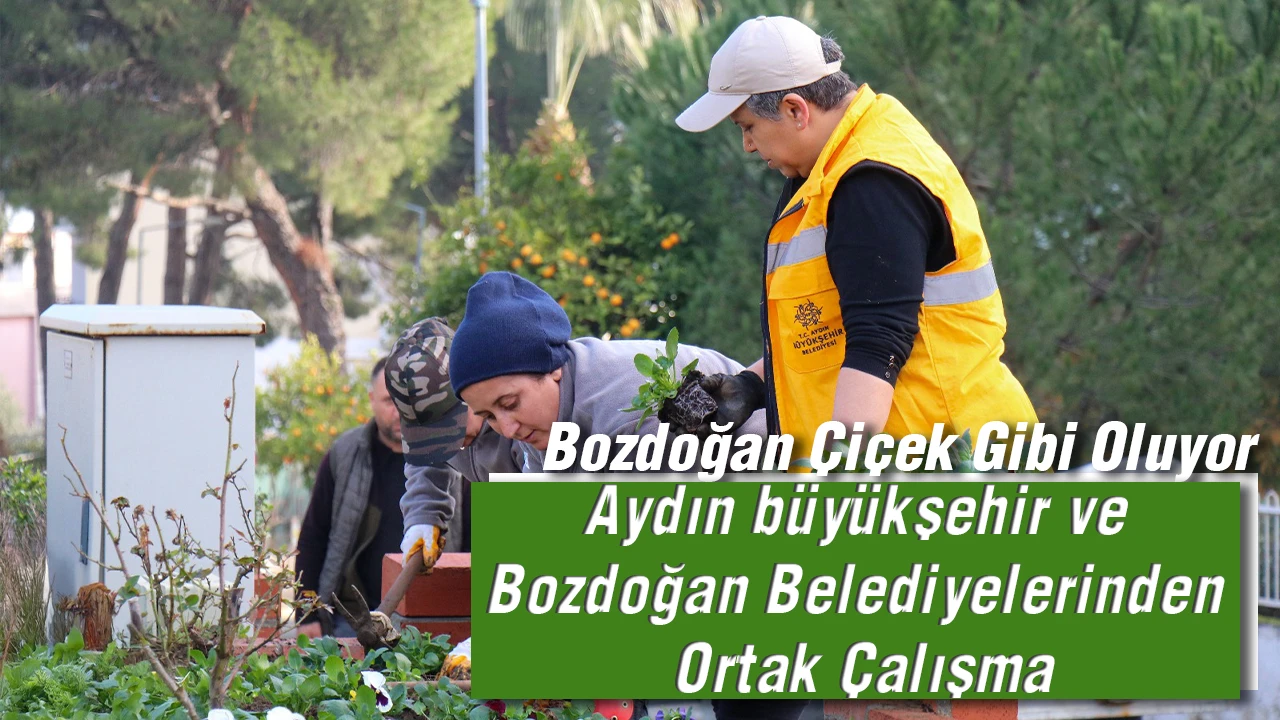 Aydın büyükşehir ve Bozdoğan Belediyelerinden Ortak Çalışma: Bozdoğan Çiçek Gibi Oluyor