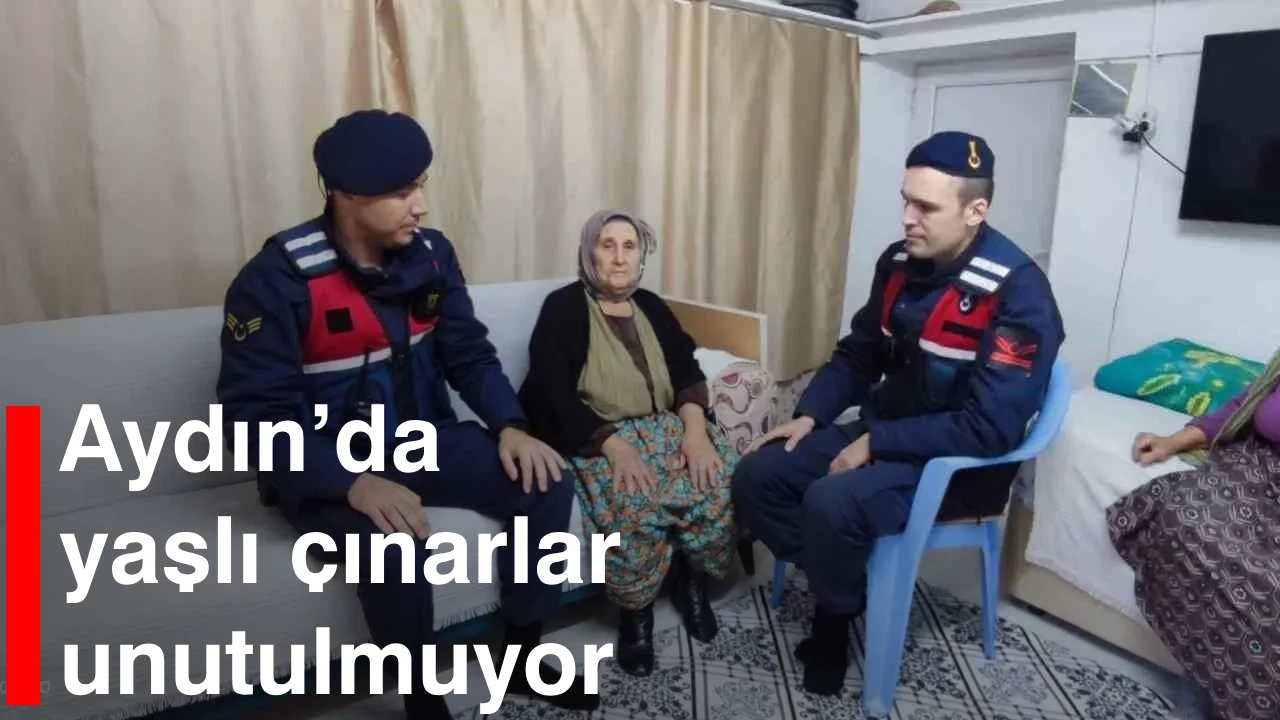 Aydın’da yaşlı çınarlar unutulmuyor