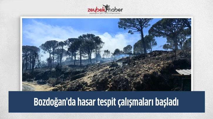 Bozdoğan'da hasar tespit çalışmaları başladı