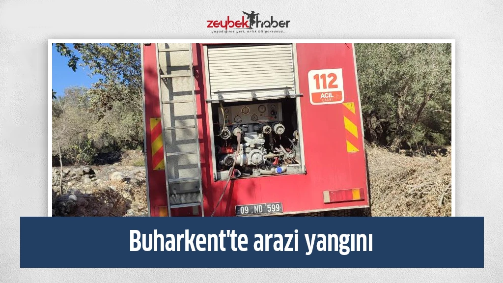 Buharkent'te arazi yangını