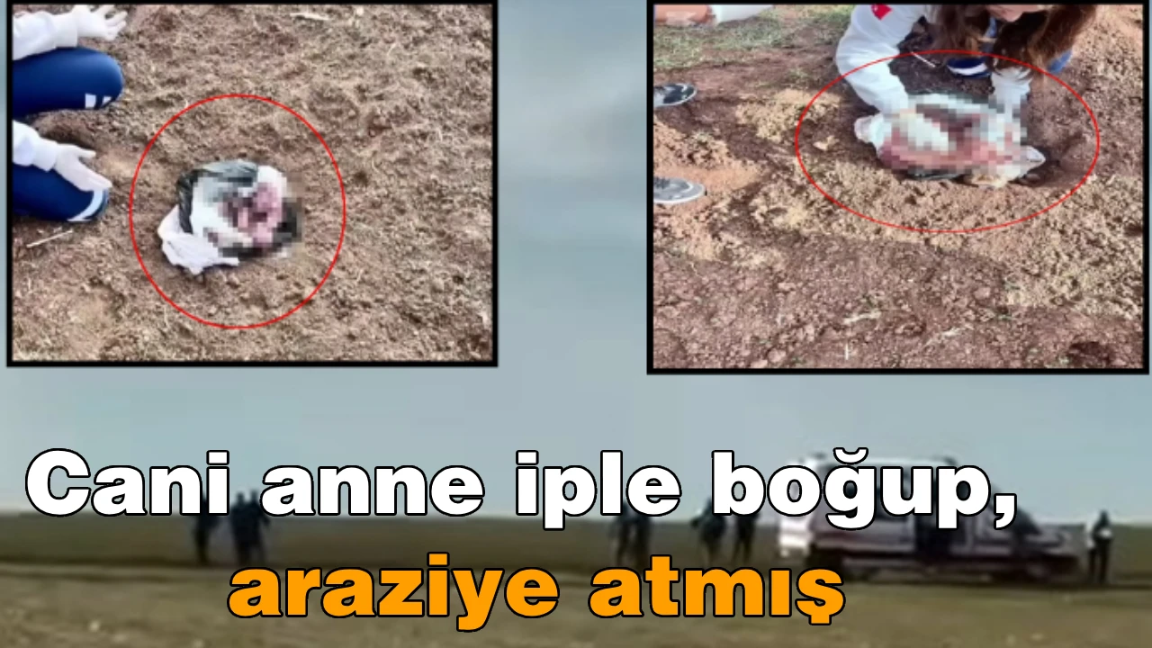 Cani anne iple boğup, araziye atmış