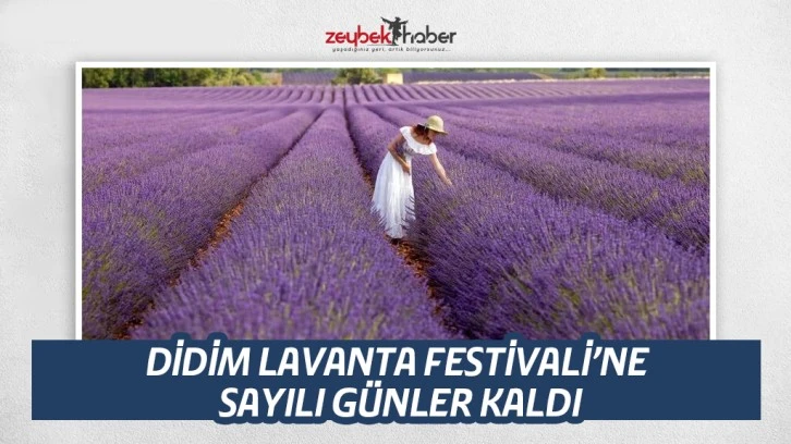 DİDİM LAVANTA FESTİVALİ’NE SAYILI GÜNLER KALDI