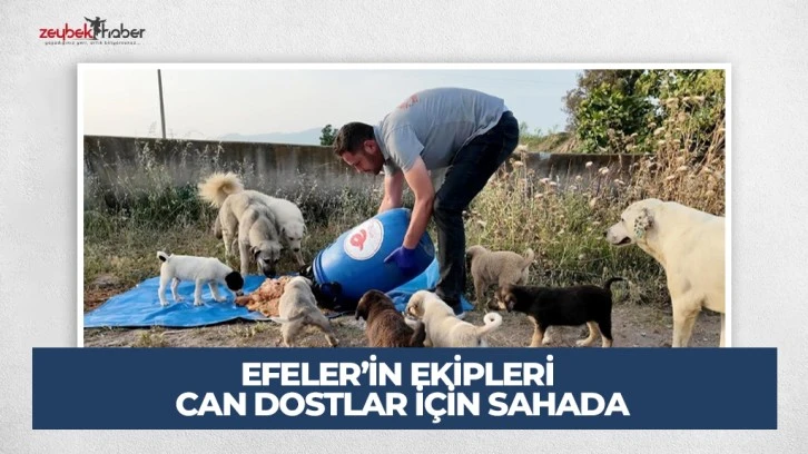 EFELER’İN EKİPLERİ CAN DOSTLAR İÇİN SAHADA