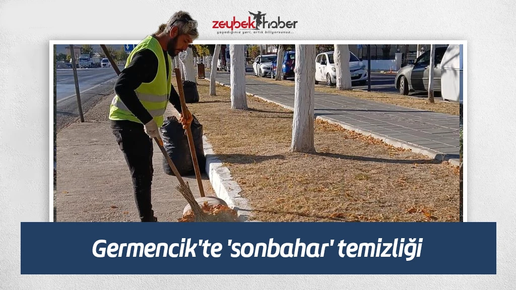 Germencik'te 'sonbahar' temizliği