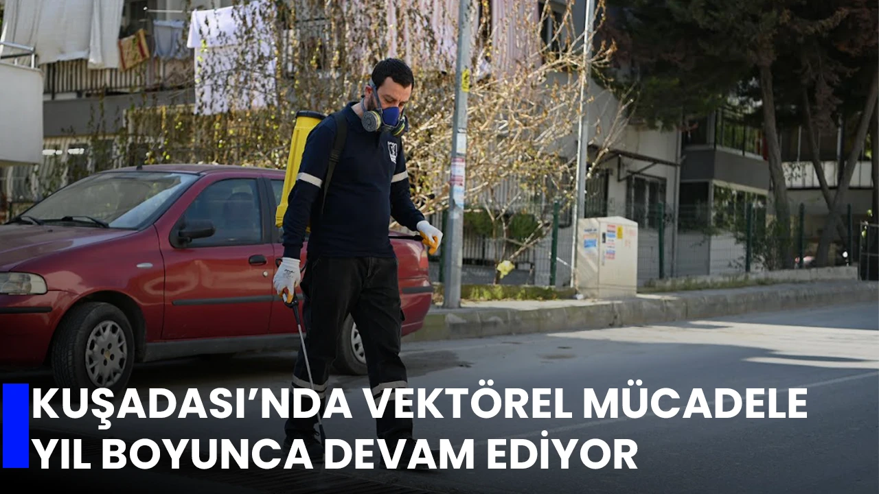 KUŞADASI’NDA VEKTÖREL MÜCADELE YIL BOYUNCA DEVAM EDİYOR