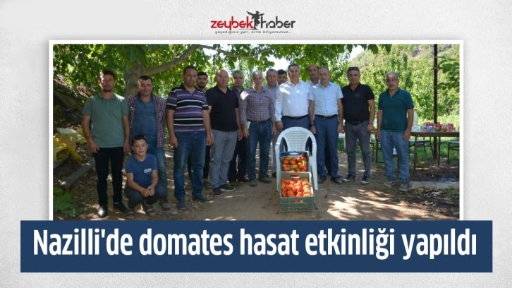 Nazilli'de domates hasat etkinliği yapıldı