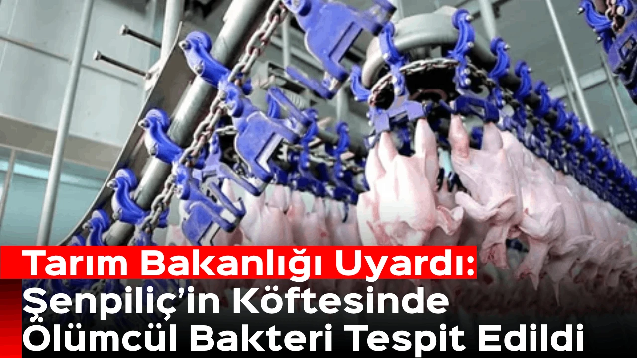 Tarım Bakanlığı Uyardı: Şenpiliç’in Köftesinde Ölümcül Bakteri Tespit Edildi