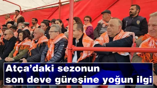 Atça’daki sezonun son deve güreşine yoğun ilgi