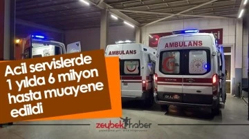 Aydın'da 6 milyon hasta muayene edildi