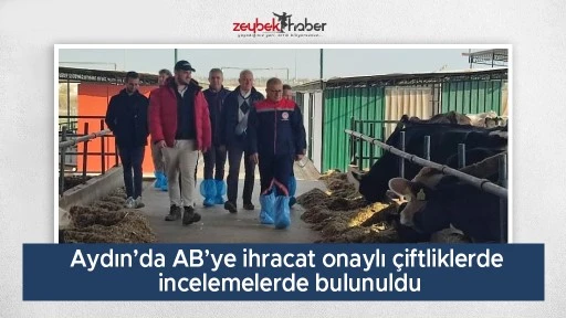 Aydın’da AB’ye ihracat onaylı çiftliklerde incelemelerde bulunuldu