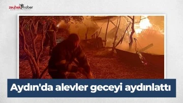 Aydın'da alevler geceyi aydınlattı