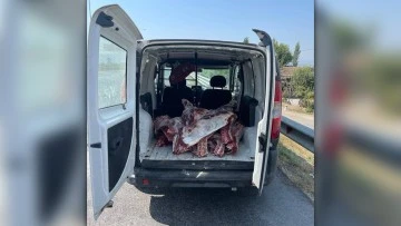 Aydın'da, sağlıksız şartlarda taşınan 300 kilo et yakalandı