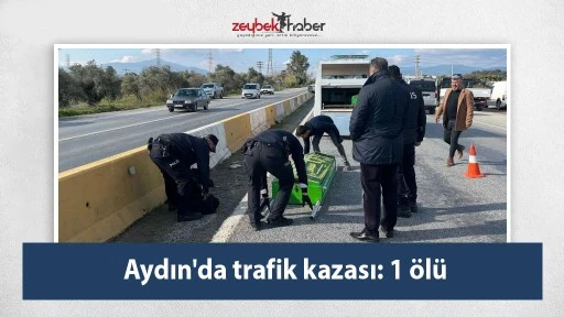 Aydın'da trafik kazası: 1 ölü