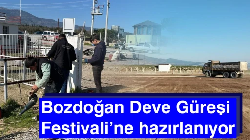 Bozdoğan Deve Güreşi Festivali’ne hazırlanıyor