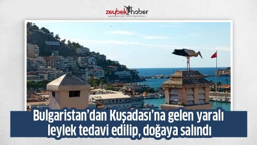 Bulgaristan’dan Kuşadası’na gelen yaralı leylek tedavi edilip, doğaya salındı