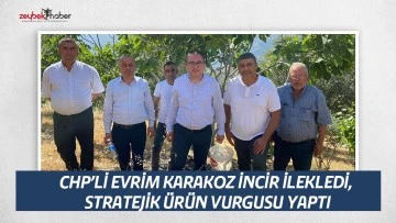 CHP’Lİ EVRİM KARAKOZ İNCİR İLEKLEDİ, STRATEJİK ÜRÜN VURGUSU YAPTI