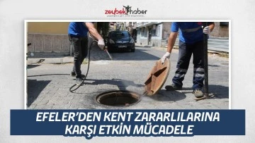 EFELER’DEN KENT ZARARLILARINA KARŞI ETKİN MÜCADELE