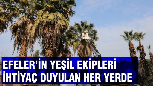 EFELER’İN YEŞİL EKİPLERİ İHTİYAÇ DUYULAN HER YERDE