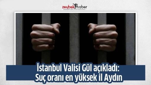 İstanbul Valisi Gül açıkladı: Suç oranı en yüksek il Aydın