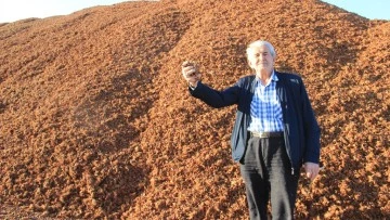 Kömür fiyatları arttı, çam fıstığı kabukları kıymete bindi
