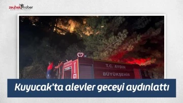 Kuyucak'ta alevler geceyi aydınlattı
