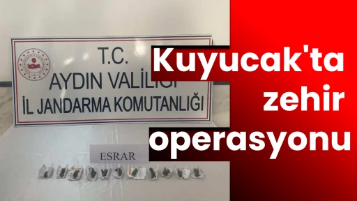 Kuyucak'ta zehir operasyonu