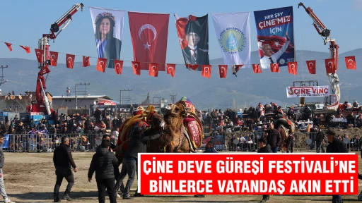 ÇİNE DEVE GÜREŞİ FESTİVALİ’NE BİNLERCE VATANDAŞ AKIN ETTİ