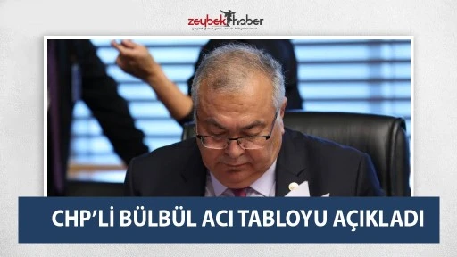 CHP’Lİ BÜLBÜL ACI TABLOYU AÇIKLADI