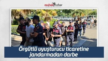 Örgütlü uyuşturucu ticaretine jandarmadan darbe