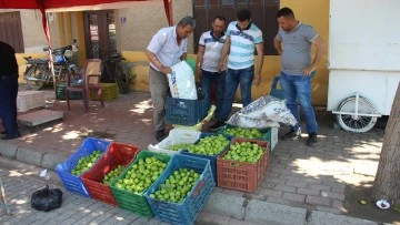 Pazarda sinekli meyvenin kilosu 40 TL'den alıcı buluyor