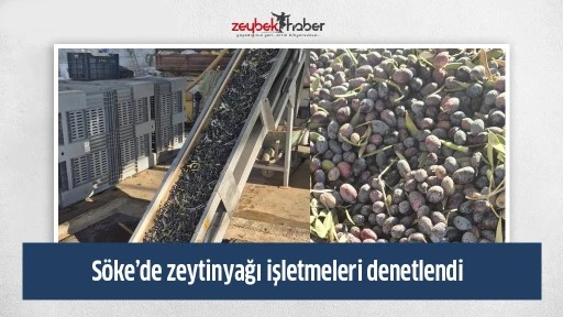 Söke’de zeytinyağı işletmeleri denetlendi